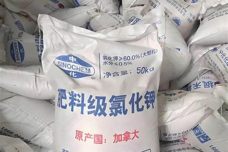 今年国内钾肥价上海电力股吧东方财富格有望一周内出炉