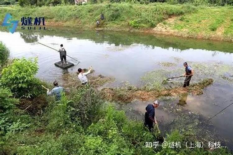 刚种的多肉化水怎么办
