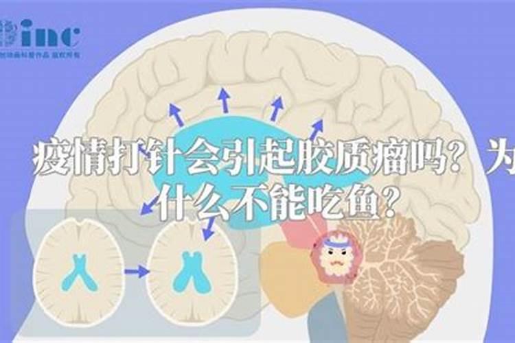 养花的氮肥有哪些 附送自制氮肥的方法