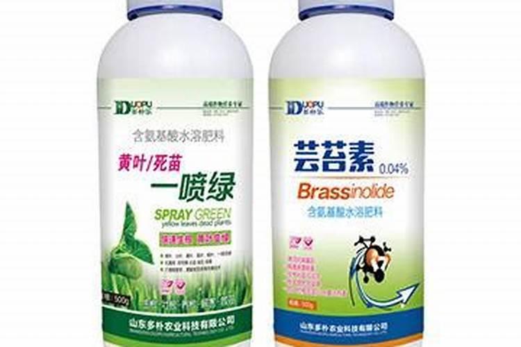 种植甘蔗使用芸苔素有哪些作用？