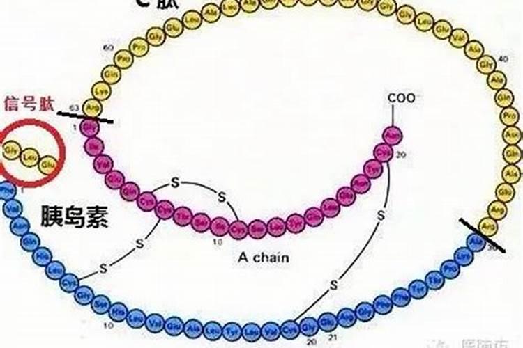 葡萄糖喷施植物有什么作用