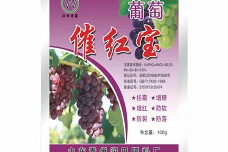 葡萄怎样催红