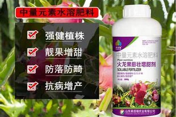 火龙神叶面肥怎么样