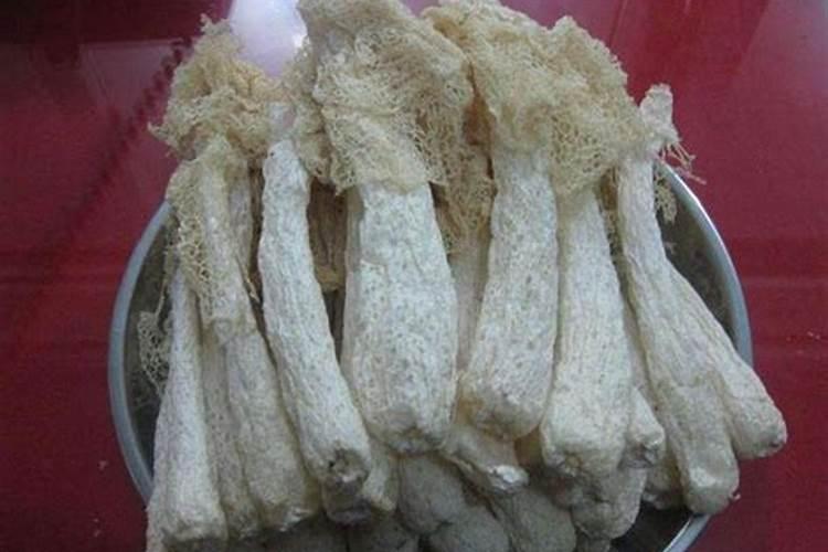 竹皇草的种植技术？什么时候种？