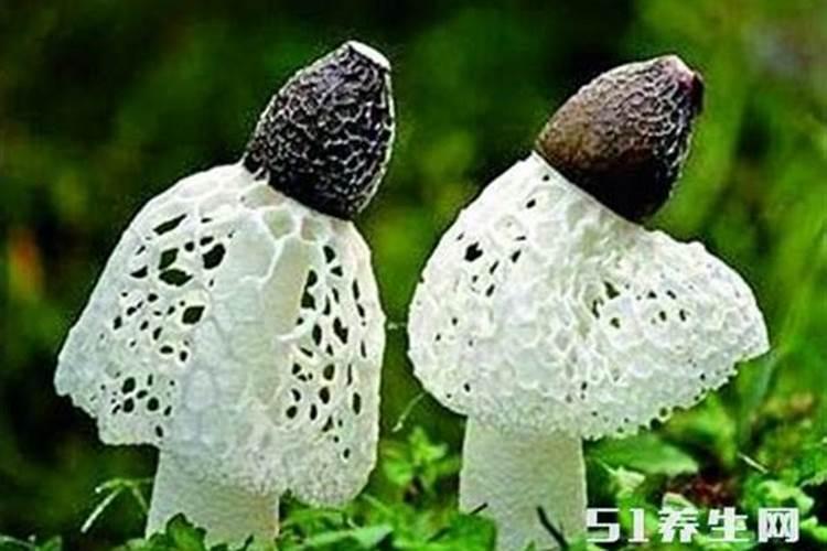 常见的蔬菜有哪些？