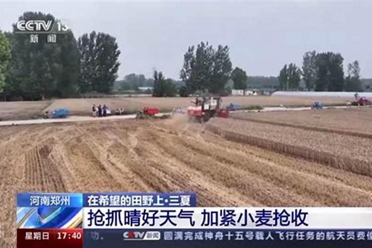 小麦打什么叶面肥高产