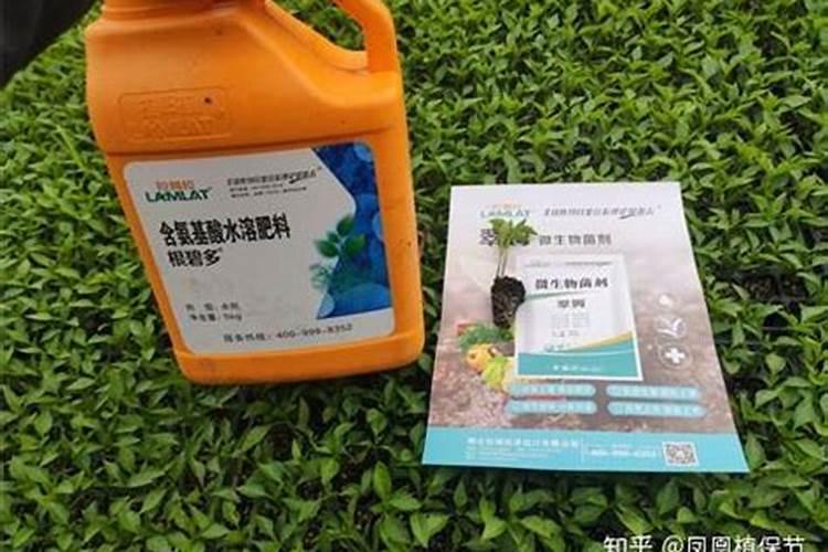 鱼塘水发黑怎么才能让水变清