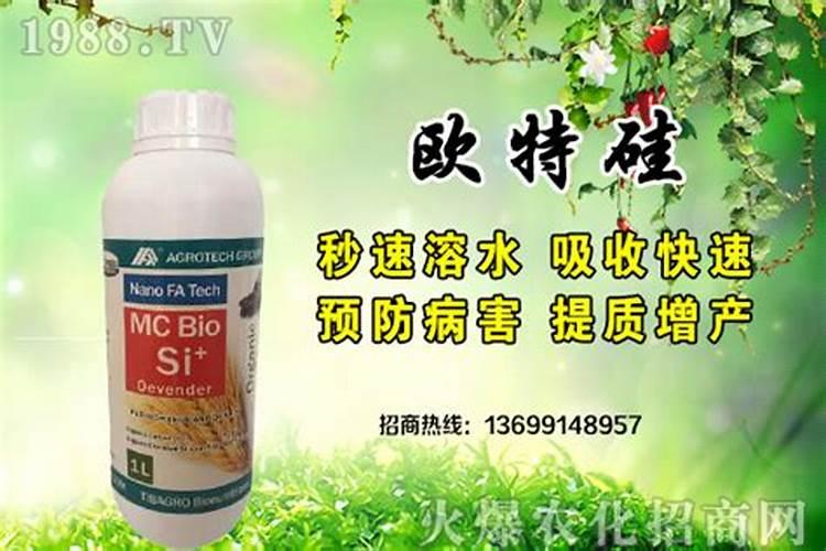 什么时候喷硅肥好,硅肥喷时可以和什么药肥一起喷。
