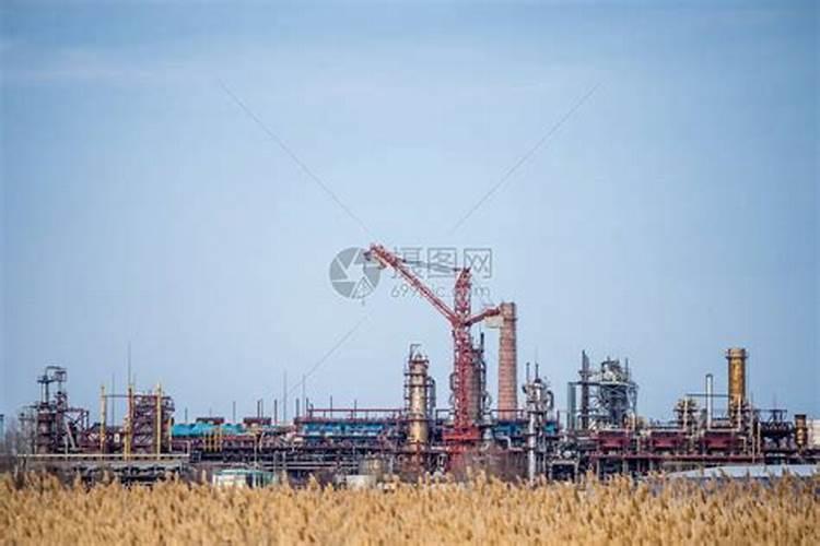 浙江凤登环保股份有限公司与康恩贝集团的隶属关系