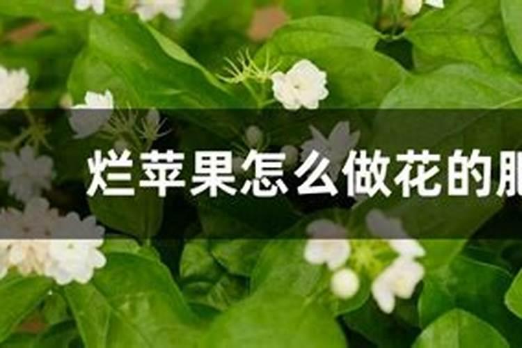 烂苹果能做花肥吗 烂苹果能做花的肥料吗