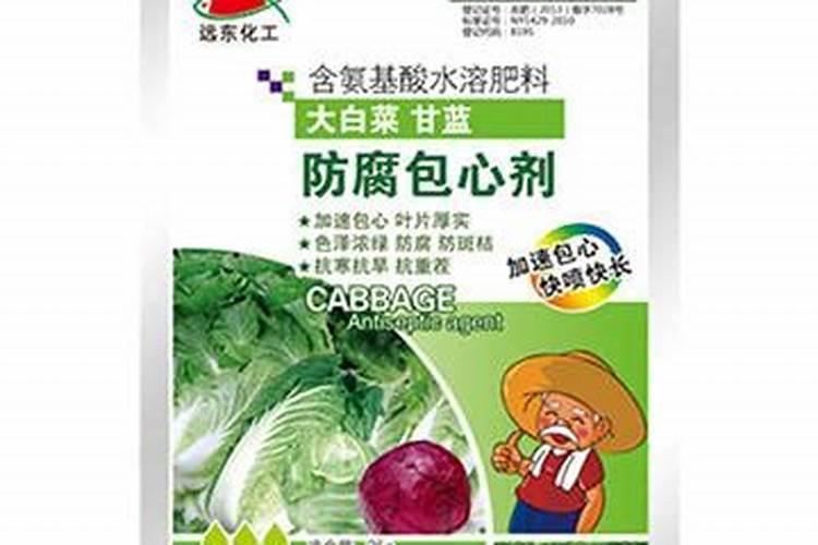白菜不包心怎么办
