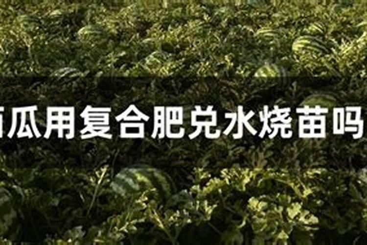 硫酸钾复合肥烧苗吗？
