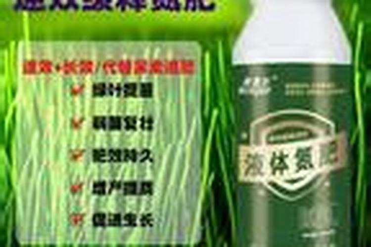 早熟禾一亩地施肥多少合适