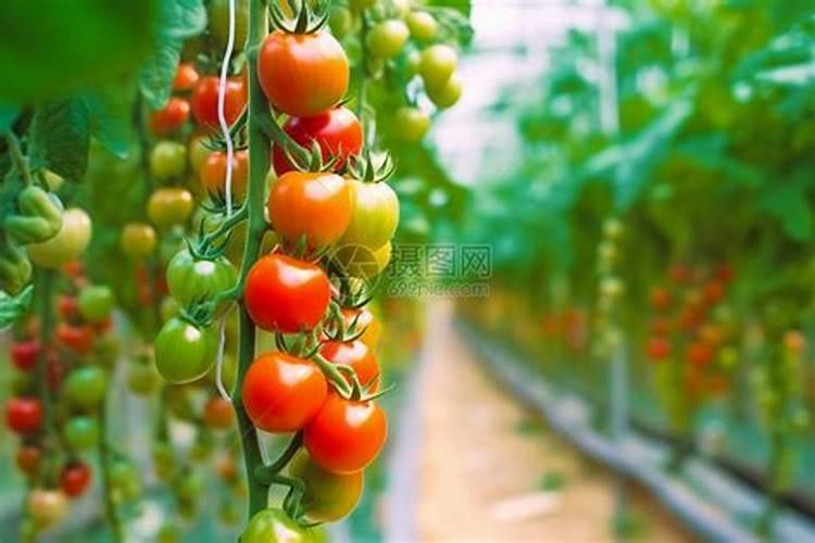 用学过的化学知识解释下列事实.(1)铵态氮肥不能与熟石灰混合施用...