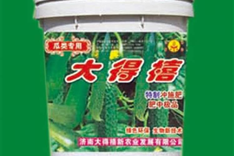怎样早春大棚种植西瓜8424
