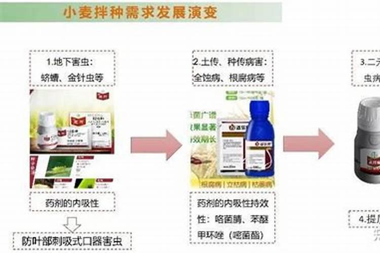 芸苔素能拌麦种吗