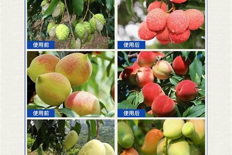 苹果树补钙的叶面肥有哪些