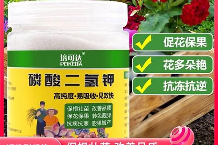 花草施肥多久一次