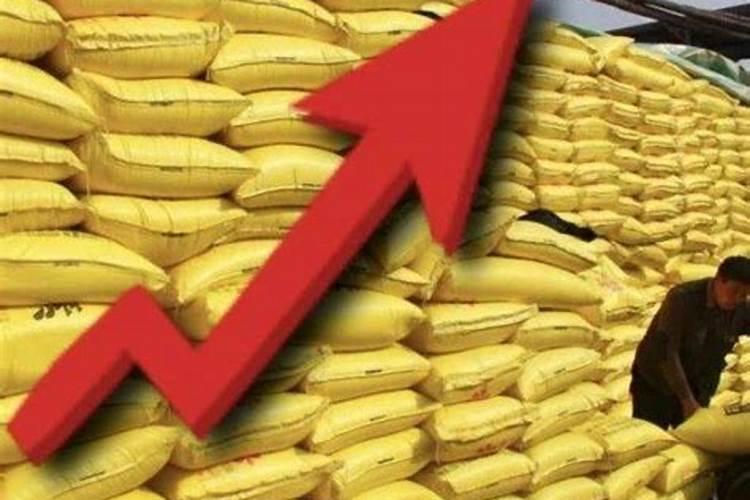涨价预警!氮、磷、钾肥都涨价了,涨多少？鉴别假化肥的4个方法