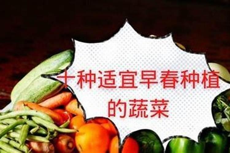 粉蕉用什么肥料最好