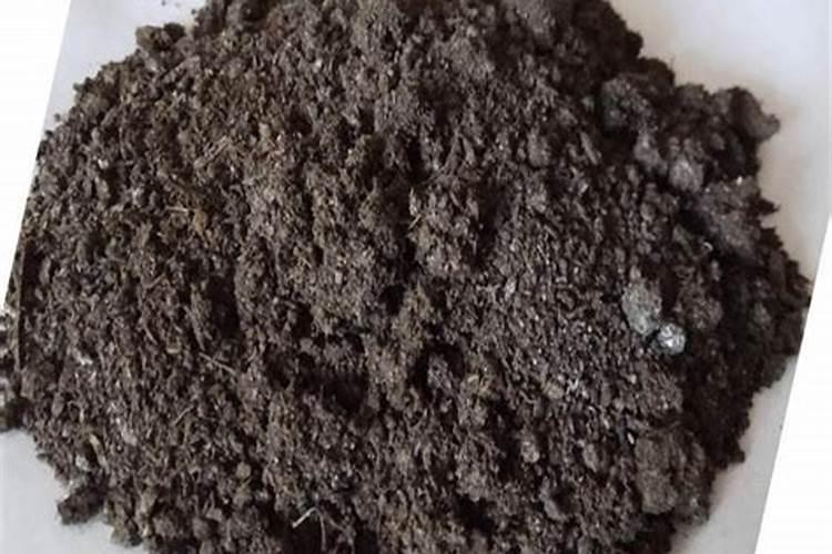 硝基肥好用吗？