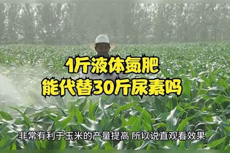 芦荟怎么养