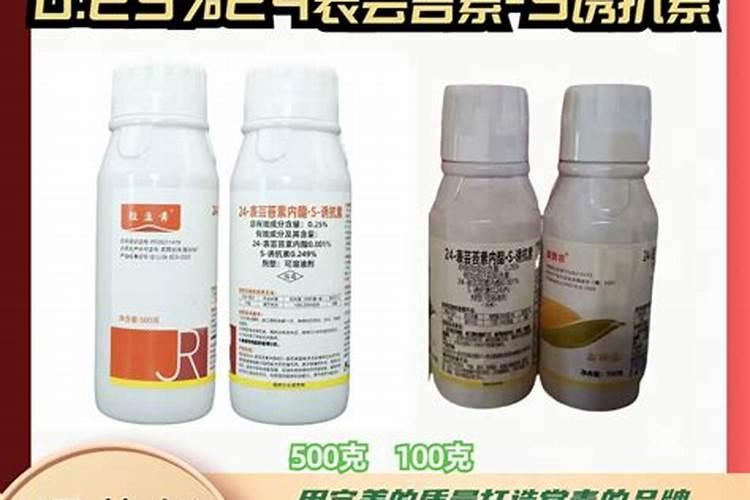 蔬菜大棚的滴灌是怎样实现的