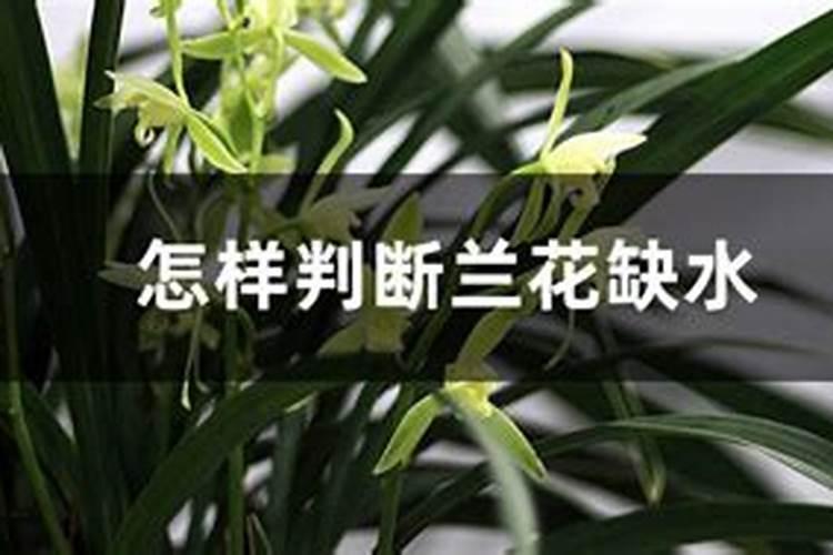 磷酸二氢钾正确施肥方法