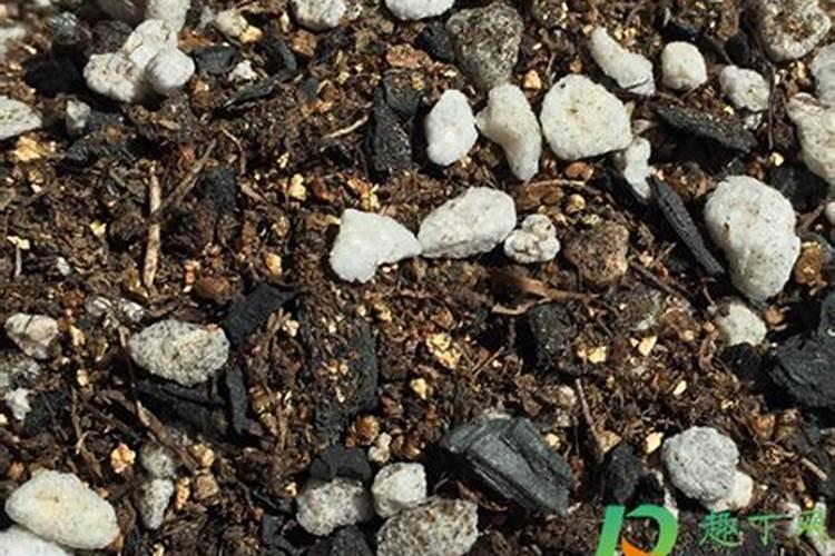 盐碱乐和生根粉,多菌灵能一块用吗？