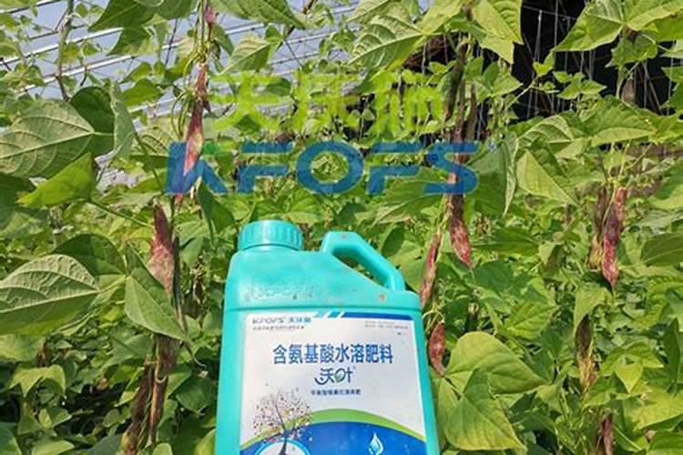 豇豆追肥用什么肥料好