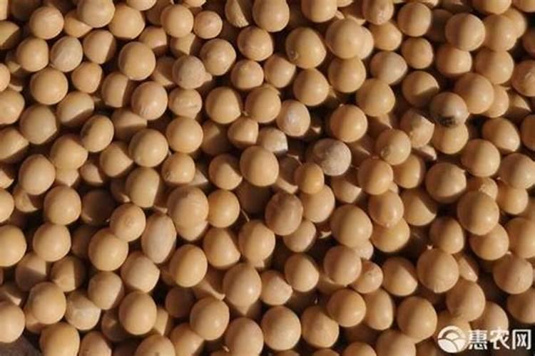 一亩大豆需要施多少化肥