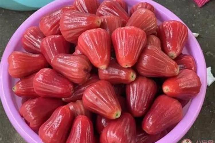 种莲雾施什么肥