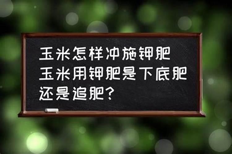 玉米冲肥的最佳时期