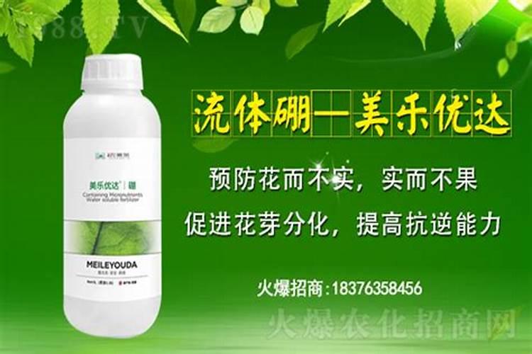 硼肥的功效与作用