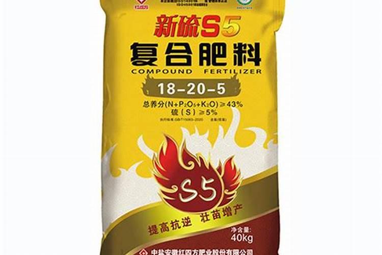 芋头种植技术资料