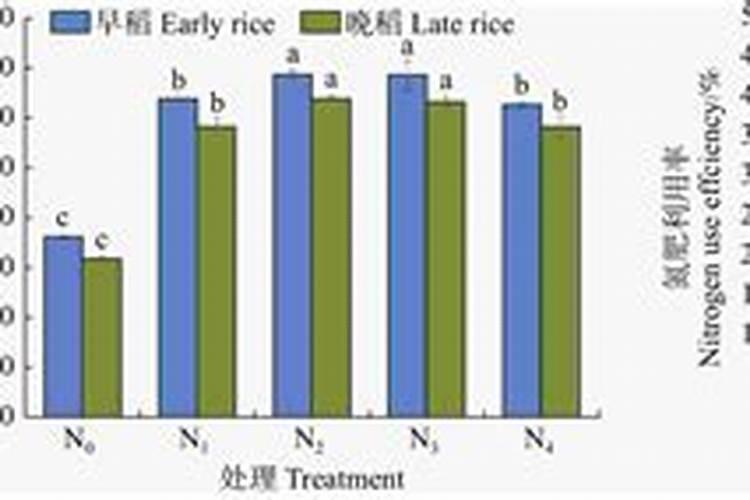 水稻氮肥过多该怎么办