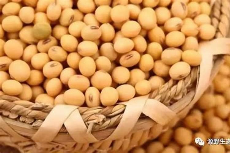 发财树可以施磷肥吗？