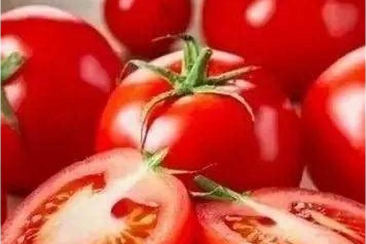 种西红柿用什么肥料最好
