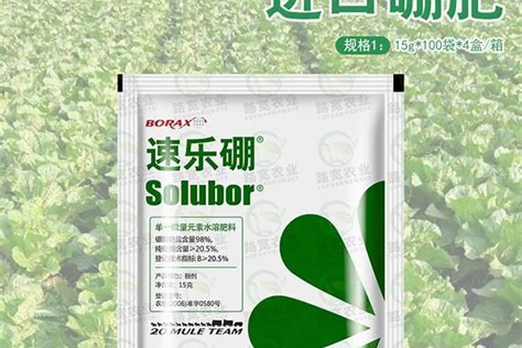 果树施硼肥怎么操作？果树施硼肥有什么用？