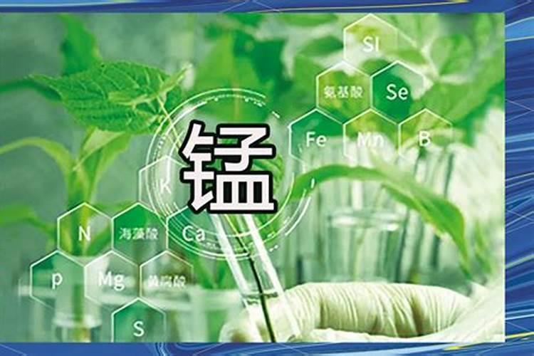 植物17种必要元素及其作用