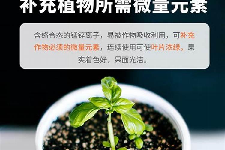 植物生长需要哪些必需元素
