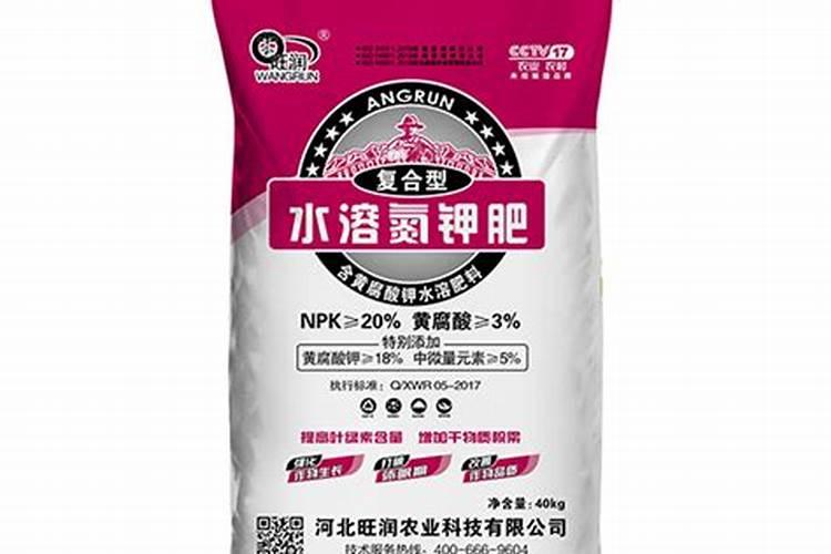 菠菜生长的适宜温度是多少？