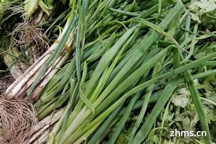 家庭种葱需要什么肥料