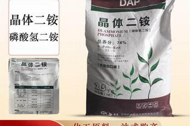 种植蜿豆磷肥过量有什么为害？