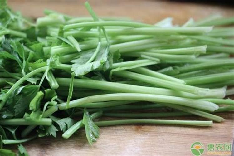 芹菜什么时候用钙肥 怎么使用效果好