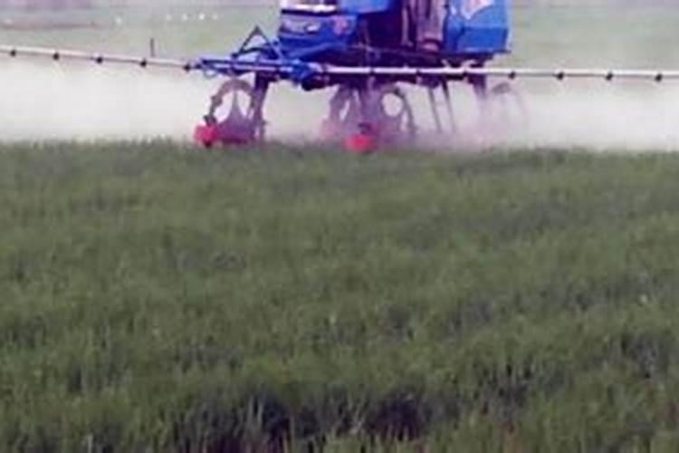 农药可以和施肥同时吗？