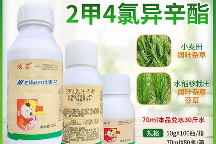 农药混用时,注意事项是什么？