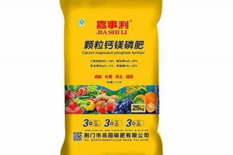 现在姜种催芽都用什么杀菌药