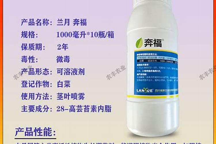 芸苔内酯适合打什么蔬菜
