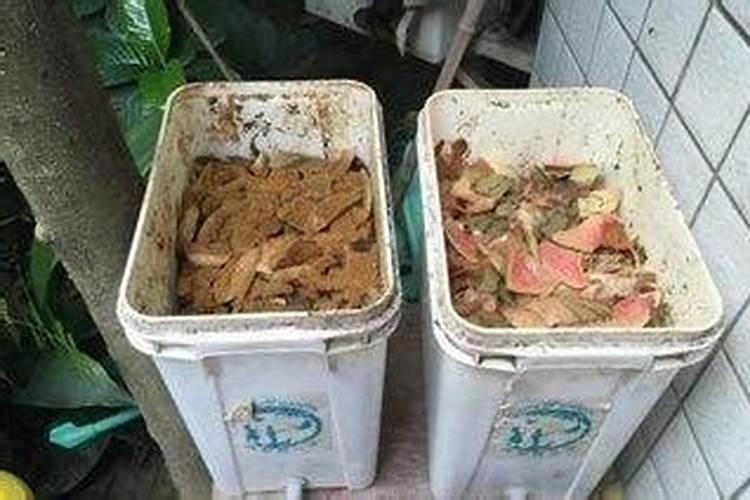 葡萄叶子发黄用海藻肥有用吗？